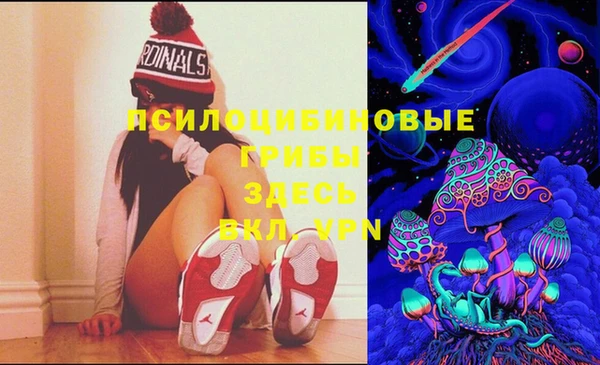 эйфоретик Куйбышев