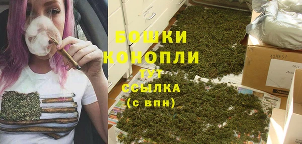 трава Лабытнанги