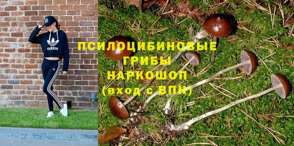 эйфоретик Куйбышев