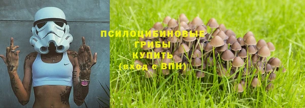 молекула духа Кулебаки